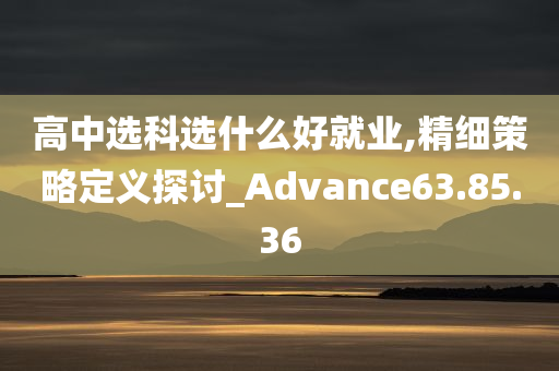 高中选科选什么好就业,精细策略定义探讨_Advance63.85.36