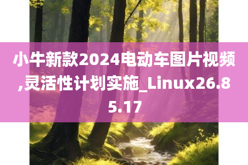 小牛新款2024电动车图片视频,灵活性计划实施_Linux26.85.17