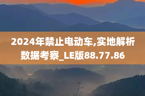 2024年禁止电动车,实地解析数据考察_LE版88.77.86