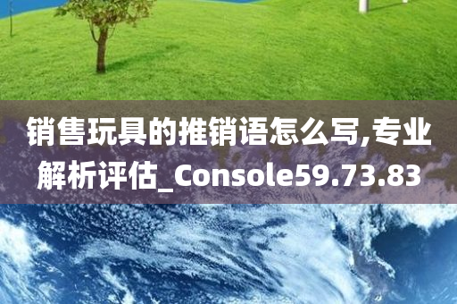 销售玩具的推销语怎么写,专业解析评估_Console59.73.83