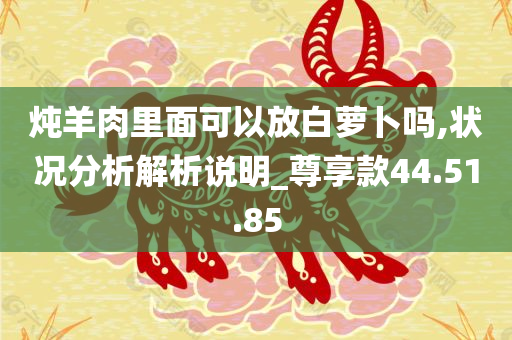 炖羊肉里面可以放白萝卜吗,状况分析解析说明_尊享款44.51.85