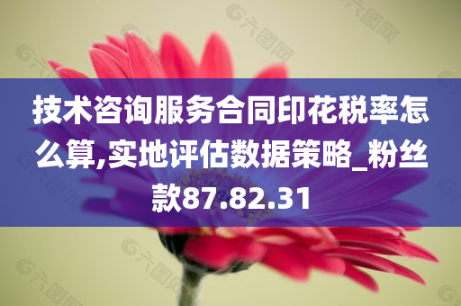 技术咨询服务合同印花税率怎么算,实地评估数据策略_粉丝款87.82.31