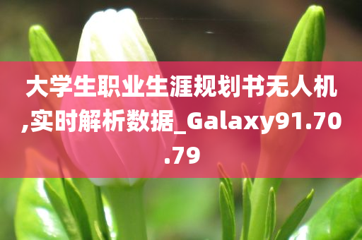 大学生职业生涯规划书无人机,实时解析数据_Galaxy91.70.79