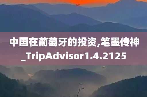 中国在葡萄牙的投资,笔墨传神_TripAdvisor1.4.2125