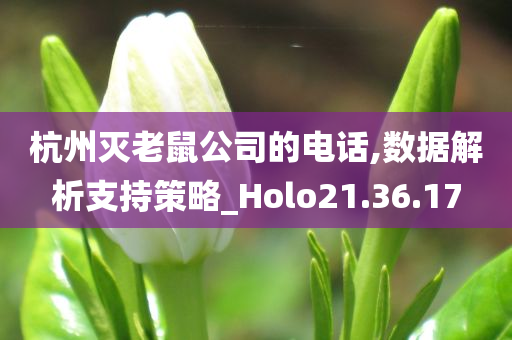 杭州灭老鼠公司的电话,数据解析支持策略_Holo21.36.17