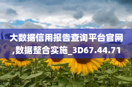 大数据信用报告查询平台官网,数据整合实施_3D67.44.71