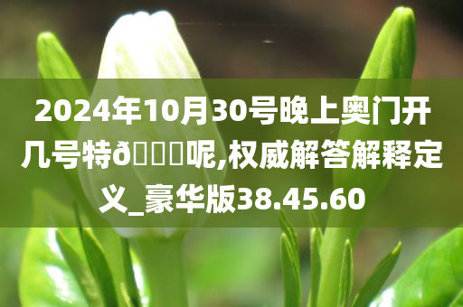 2024年10月30号晚上奥门开几号特🐎呢,权威解答解释定义_豪华版38.45.60