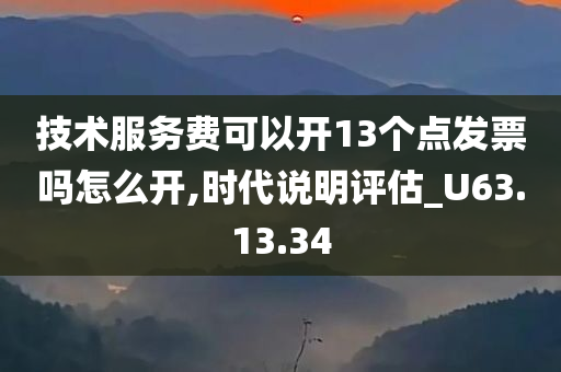 技术服务费可以开13个点发票吗怎么开,时代说明评估_U63.13.34