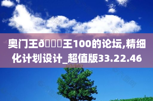 奥门王🀄王100的论坛,精细化计划设计_超值版33.22.46