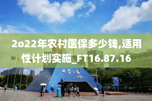 2o22年农村医保多少钱,适用性计划实施_FT16.87.16