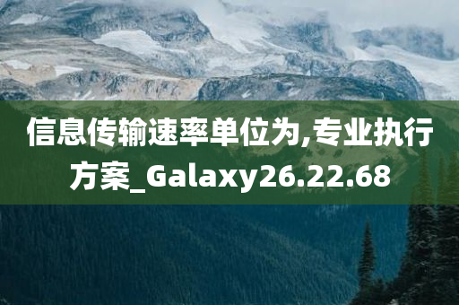 信息传输速率单位为,专业执行方案_Galaxy26.22.68