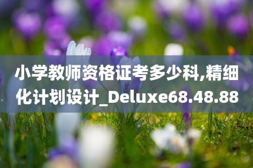 小学教师资格证考多少科,精细化计划设计_Deluxe68.48.88