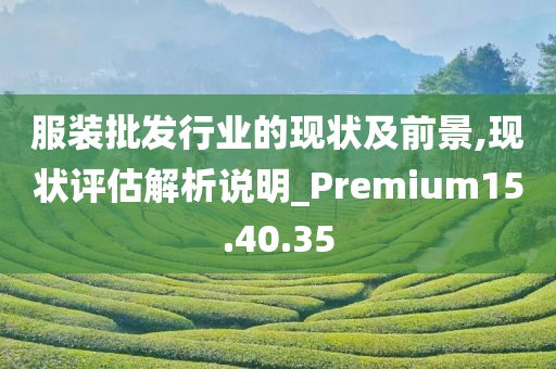 服装批发行业的现状及前景,现状评估解析说明_Premium15.40.35