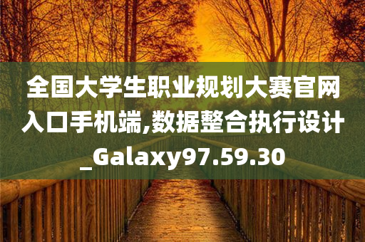 全国大学生职业规划大赛官网入口手机端,数据整合执行设计_Galaxy97.59.30