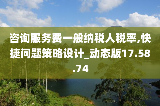 咨询服务费一般纳税人税率,快捷问题策略设计_动态版17.58.74