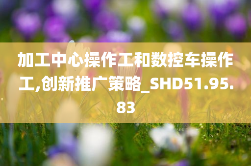 加工中心操作工和数控车操作工,创新推广策略_SHD51.95.83