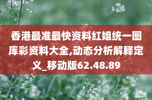 香港最准最快资料红姐统一图库彩资料大全,动态分析解释定义_移动版62.48.89