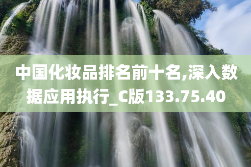 中国化妆品排名前十名,深入数据应用执行_C版133.75.40