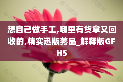 想自己做手工,哪里有货拿又回收的,精实迅版莠品_解释版GFH5