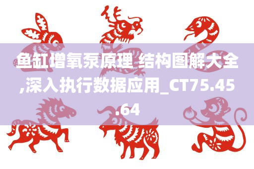 鱼缸增氧泵原理 结构图解大全,深入执行数据应用_CT75.45.64