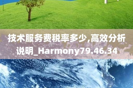 技术服务费税率多少,高效分析说明_Harmony79.46.34