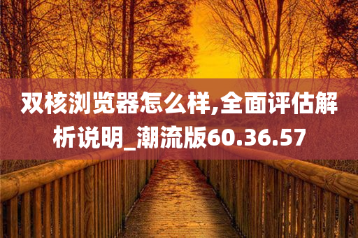 双核浏览器怎么样,全面评估解析说明_潮流版60.36.57