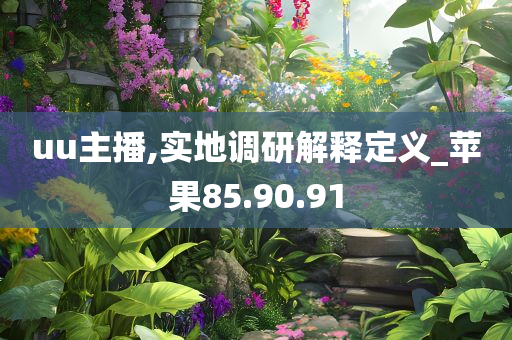 uu主播,实地调研解释定义_苹果85.90.91