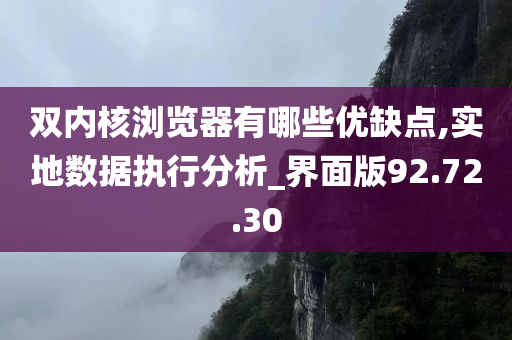 双内核浏览器有哪些优缺点,实地数据执行分析_界面版92.72.30