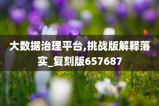 大数据治理平台,挑战版解释落实_复刻版657687