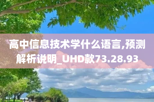 高中信息技术学什么语言,预测解析说明_UHD款73.28.93