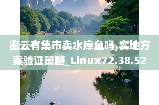 密云有集市卖水库鱼吗,实地方案验证策略_Linux72.38.52