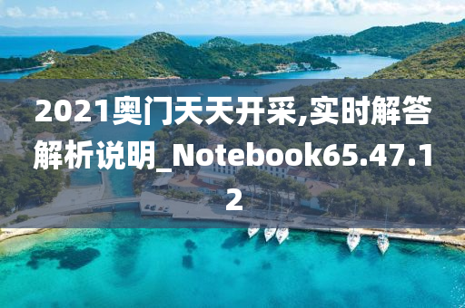 2021奥门天天开采,实时解答解析说明_Notebook65.47.12