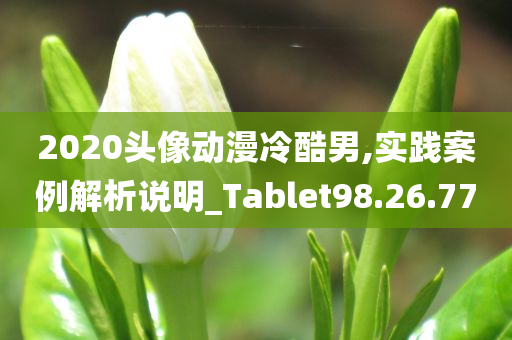 2020头像动漫冷酷男,实践案例解析说明_Tablet98.26.77