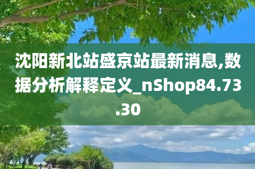 沈阳新北站盛京站最新消息,数据分析解释定义_nShop84.73.30