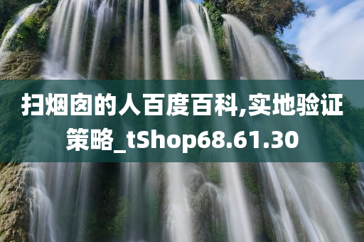 扫烟囱的人百度百科,实地验证策略_tShop68.61.30