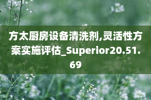 方太厨房设备清洗剂,灵活性方案实施评估_Superior20.51.69