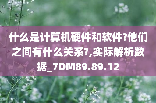 什么是计算机硬件和软件?他们之间有什么关系?,实际解析数据_7DM89.89.12