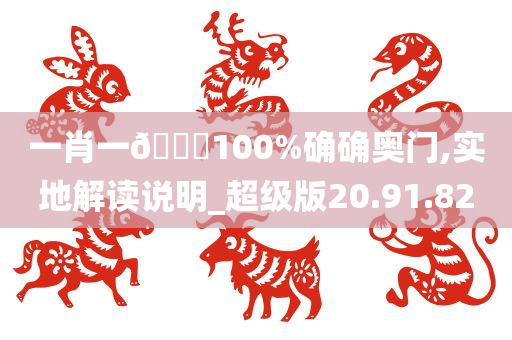 一肖一🐎100%确确奥门,实地解读说明_超级版20.91.82