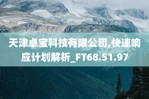 天津卓宝科技有限公司,快速响应计划解析_FT68.51.97