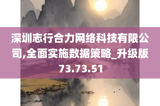 深圳志行合力网络科技有限公司,全面实施数据策略_升级版73.73.51