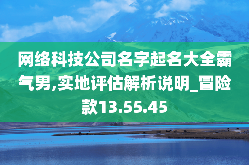 网络科技公司名字起名大全霸气男,实地评估解析说明_冒险款13.55.45