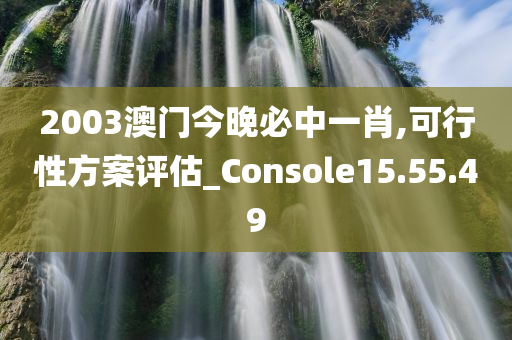 2003澳门今晚必中一肖,可行性方案评估_Console15.55.49