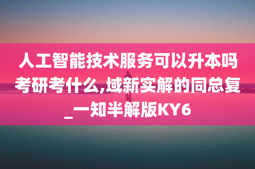 人工智能技术服务可以升本吗考研考什么,域新实解的同总复_一知半解版KY6