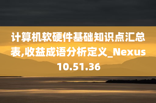 计算机软硬件基础知识点汇总表,收益成语分析定义_Nexus10.51.36