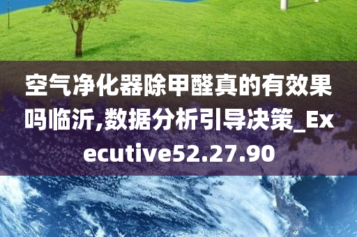 空气净化器除甲醛真的有效果吗临沂,数据分析引导决策_Executive52.27.90