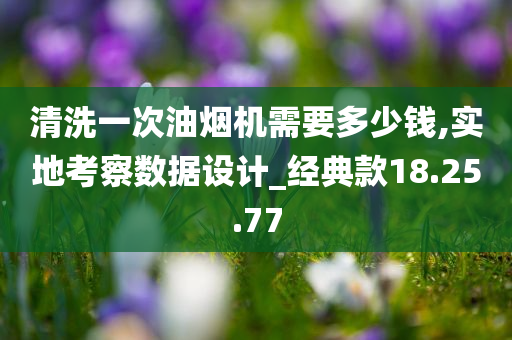 清洗一次油烟机需要多少钱,实地考察数据设计_经典款18.25.77