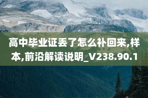 高中毕业证丢了怎么补回来,样本,前沿解读说明_V238.90.10