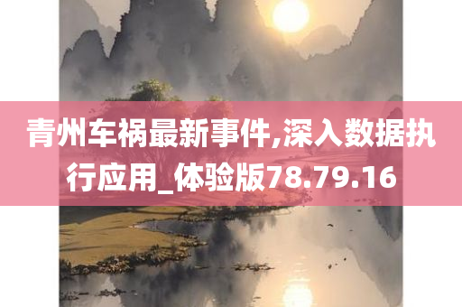 青州车祸最新事件,深入数据执行应用_体验版78.79.16