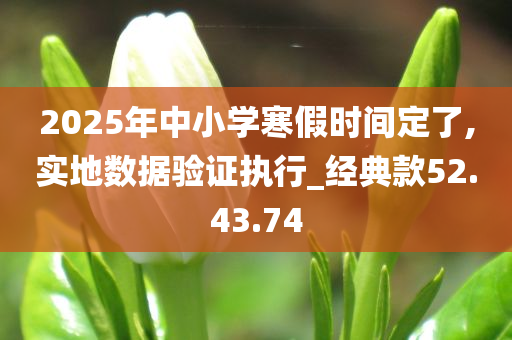 2025年中小学寒假时间定了,实地数据验证执行_经典款52.43.74