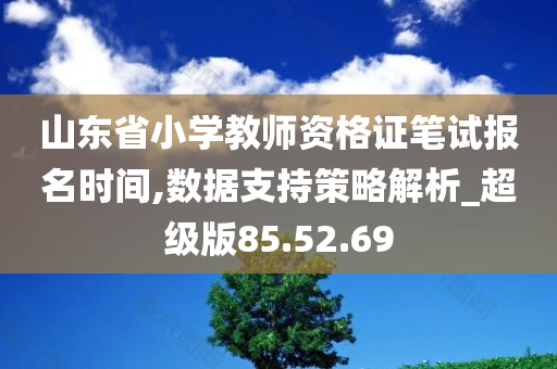 山东省小学教师资格证笔试报名时间,数据支持策略解析_超级版85.52.69